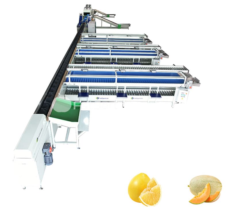 images/1698652537605big fruit sorting machine.jpg